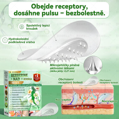 🌱🌱BSWELL® Nano mikrovpichová zeštíhlující náplast✨(Stačí použít pouze jednou denně – viditelné změny již za 28 dní) ✅Bezbolestná, dlouhotrvající, zaměřená na řešení cukrovky, obezity a kardiovaskulárních onemocnění