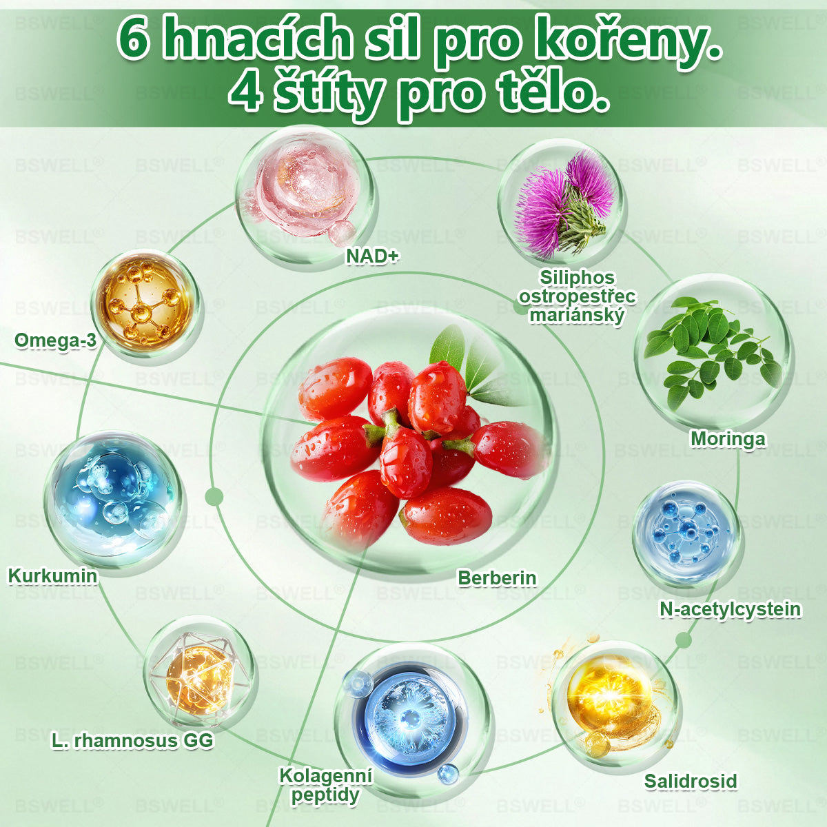 🌱🌱BSWELL® Nano mikrovpichová zeštíhlující náplast✨(Stačí použít pouze jednou denně – viditelné změny již za 28 dní) ✅Bezbolestná, dlouhotrvající, zaměřená na řešení cukrovky, obezity a kardiovaskulárních onemocnění