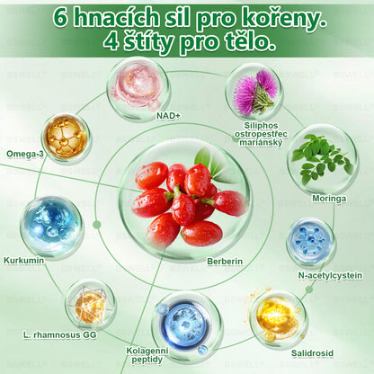 🌱🌱BSWELL® Nano mikrovpichová zeštíhlující náplast✨(Stačí použít pouze jednou denně – viditelné změny již za 28 dní) ✅Bezbolestná, dlouhotrvající, zaměřená na řešení cukrovky, obezity a kardiovaskulárních onemocnění