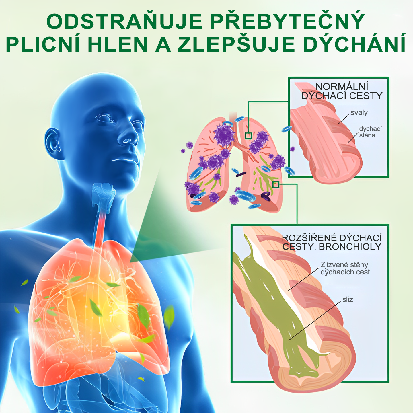 🍀𝐆𝐨𝐨𝐲𝐞𝐞𝐫™ Pokročilý sprej na čištění plic -🧑‍⚕️ Podporuje zdraví plic, průdušek a dutin, napomáhá zdraví dýchacího systému a usnadňuje dýchání.