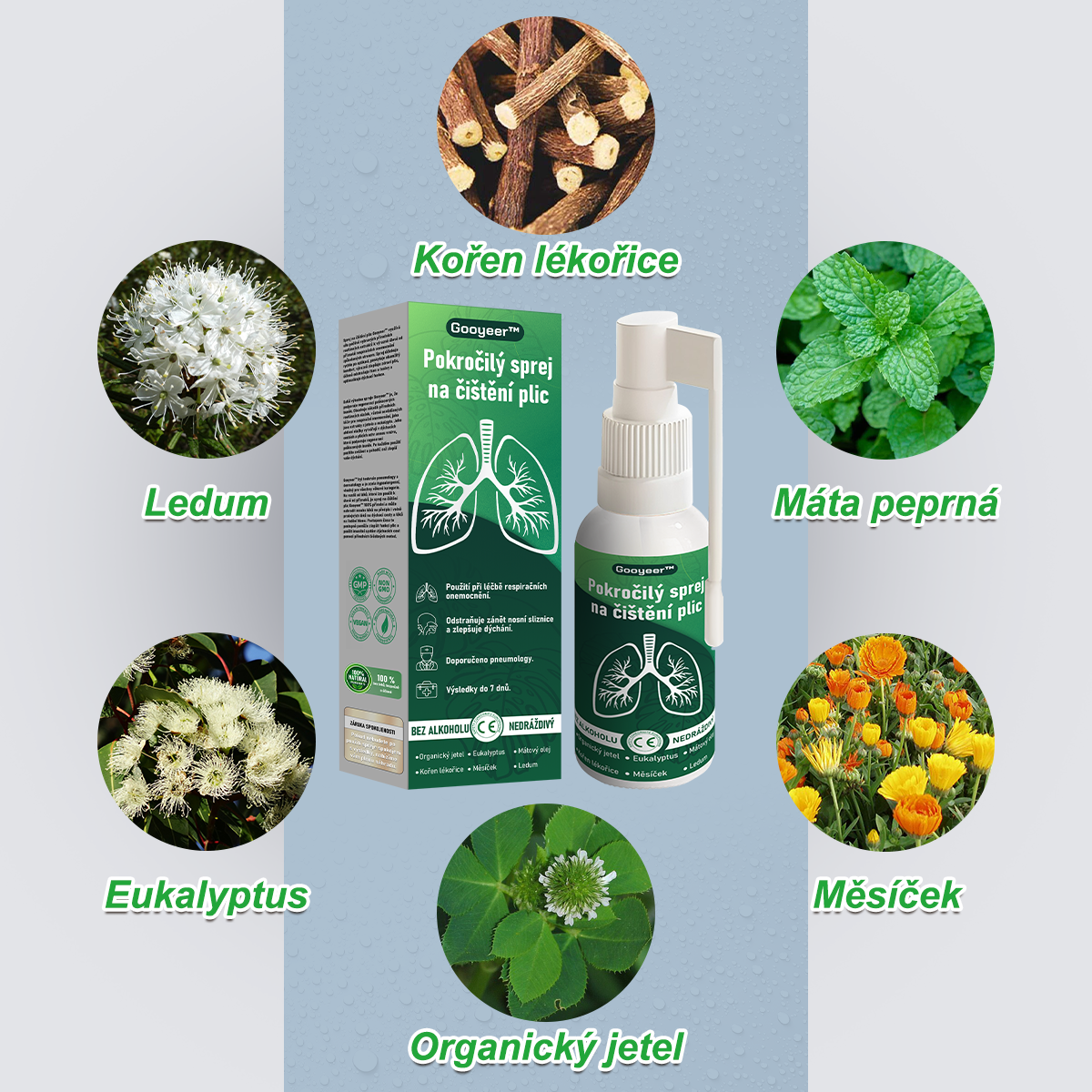 🍀𝐆𝐨𝐨𝐲𝐞𝐞𝐫™ Pokročilý sprej na čištění plic -🧑‍⚕️ Podporuje zdraví plic, průdušek a dutin, napomáhá zdraví dýchacího systému a usnadňuje dýchání.