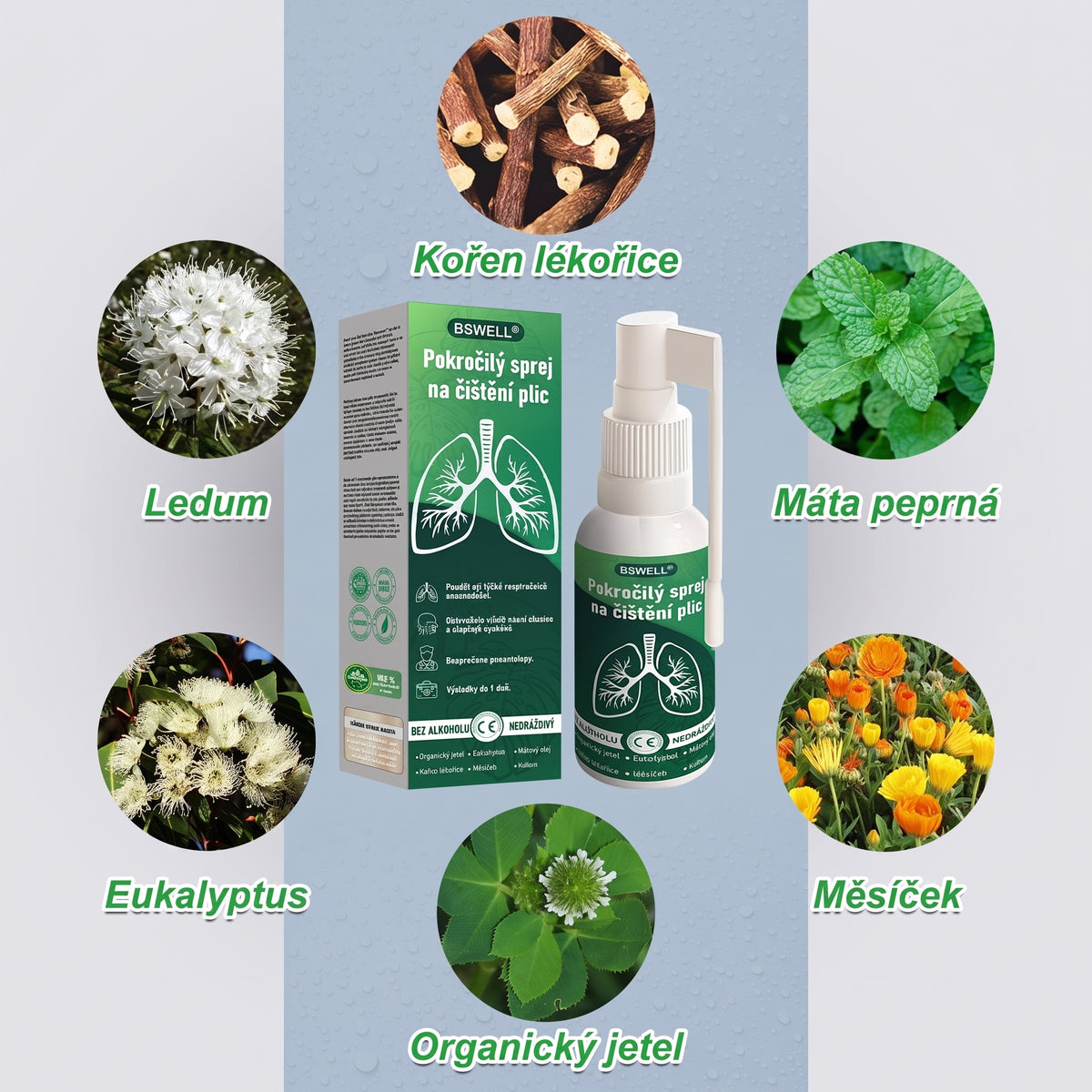 🍀BSWELL® Pokročilý sprej na čištění plic -✅ Podporuje zdraví plic, průdušek a dutin, napomáhá zdraví dýchacího systému a usnadňuje dýchání.